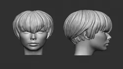 Hair 21 3D Print Model in Woman 414705