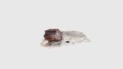 Isn't it good petrified wood?