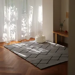 Modern pattern rug