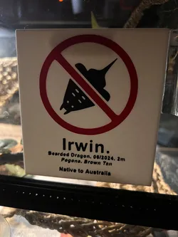 No Sting Rays Bearded Dragon Sign