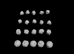 Rock