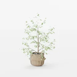 Tree Seaweed Basket