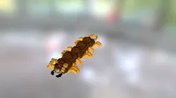 Voxel Centipede
