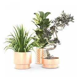 Indoor plant set 02