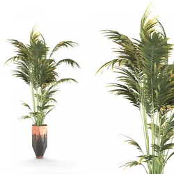 Indoor plant set 1