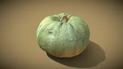 kürbis