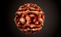 Bloody Brain SEAMLESS PBR Textures Texture