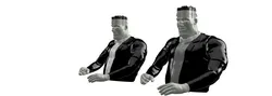 Bruce Frankenstein Upgrade for 3D SETS Family - Ann & Bruce