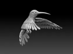 Colibri humming bird 3D Print Model in Figurines 419470