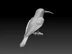Colibri humming bird 3D Print Model in Sculpture 419475