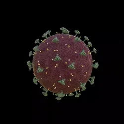 Corona Virus 3D model
