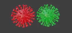 Coronavirus 3D model
