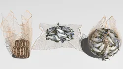 Fishing net