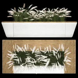 Flowerbed Bench With Bushes Feather Grass 1134
