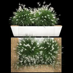 Flowerbed Bench With Bushes Feather Grass 1136