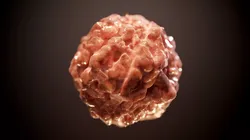 Guts Human Flesh PBR SEAMLESS Texture Texture