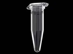 Microfuge Tube 3D model