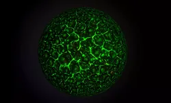 Science Fiction Rock SEAMLESS PBR Texture Texture