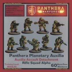Mono-Pose PPA Auxilia Rifle Squad Alpha PWCBMP010426