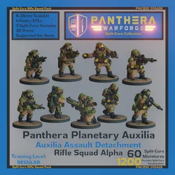 Split Core PPA Auxilia Rifle Squad Alpha Core Box PWCBSC010426