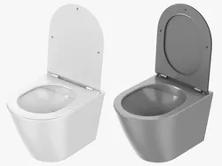 Wall Hung Toilet