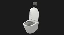Wall Hung Toilet Game Ready PBR
