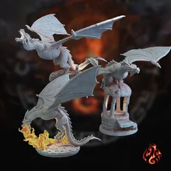 Young Black Dragons