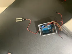 Arduino project plant soil humidity