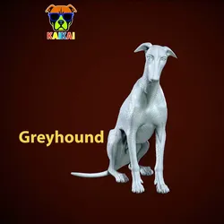 Characters & Creatures STL Descărcare - Greyhound Dog model - 3D print - Urban vibes - Rubber Duck