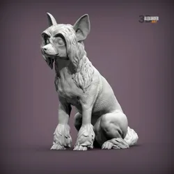 Chinese Crested sitting