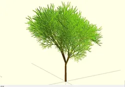 Completely Random Tree