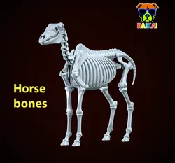 Decorative Horse Bones - Animal Bone Model - 3D print 3D Print Model in Animals 574515
