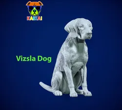 Dog Vizsla - Vizsla Hungary dog model - 3D print 3D Print Model in Animals 573692