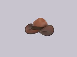 Hat359
