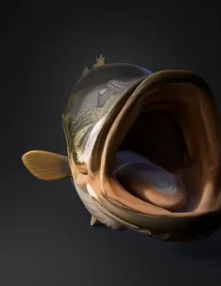 largemouth bass olive green and white body with dark lateral stripe