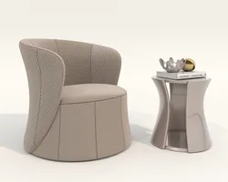 Modern Coffee Table and Armchair 58