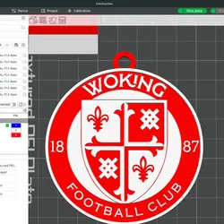 National League Woking keychain badge color printable and renderable 3D Print Model in Keychains 572421