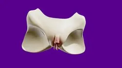 NSFW BJD customization pelvis X