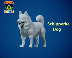 Schipperke Dog model- Little Captain Dog - 3D print 3D Print Model in Animals 573078