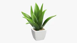 Artificial cactus composition 01