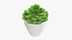 Artificial cactus composition 02