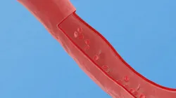 Blood vessel red human system artery health vessels