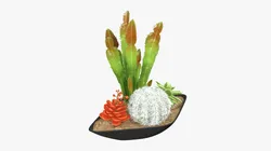 Decorative plant composition 01
