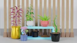 Potted Plant Set - Interior Succulent Design -