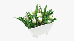 Tulip composition in bathtub