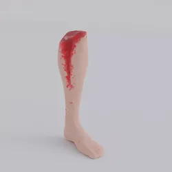 Accident Leg Low-poly 3D model