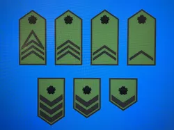 JGSDF Enlisted Ranks (Army)