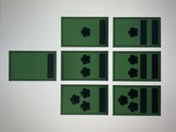 JGSDF Officer Ranks (Army)