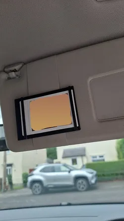 Polaroid Clip