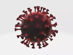 Virus 3D model